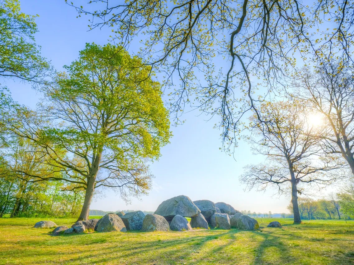 Koffiecultuur in Drenthe, van traditie tot specialty