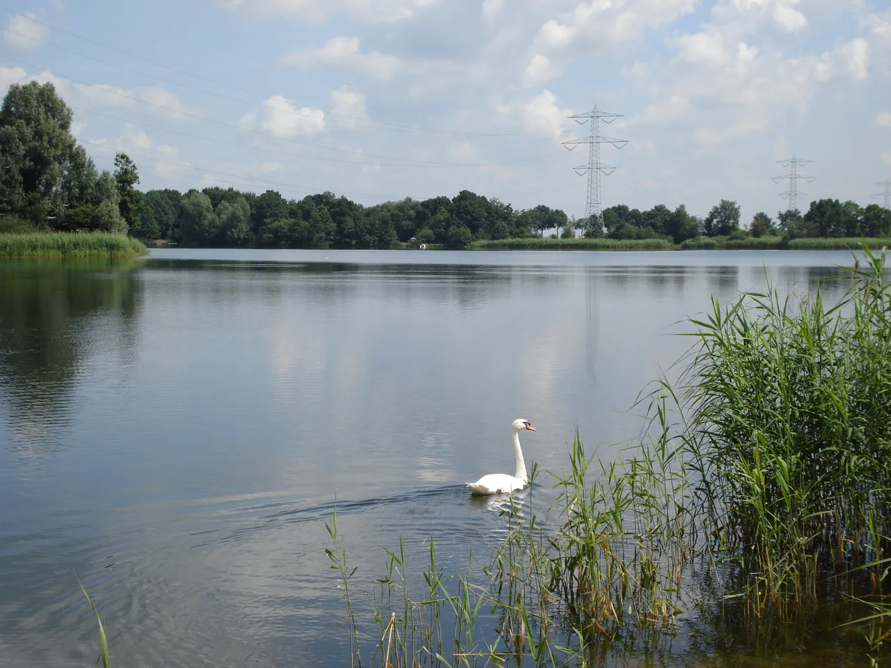 Rosmalen Zuid